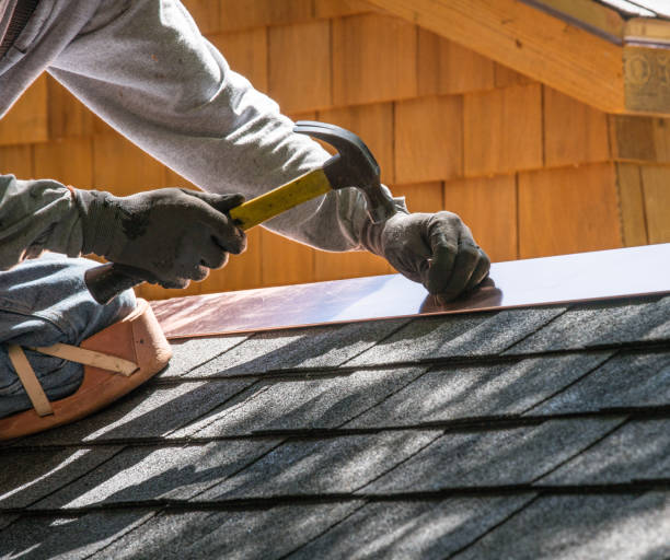 Roof Gutter Cleaning in Pearl River, LA